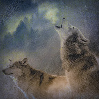 人狼のイメージ